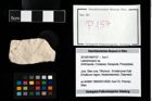 Foto (Objekt + Etikett) von Laeviprosopon sp.  (NHMW-GEO-2014-0194-0157)